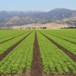 Servicios Empresaviales Holdings (SE Holdings)