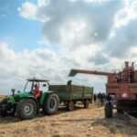 Tiger Brands' agriculture aggregator programme - growing more than just crops